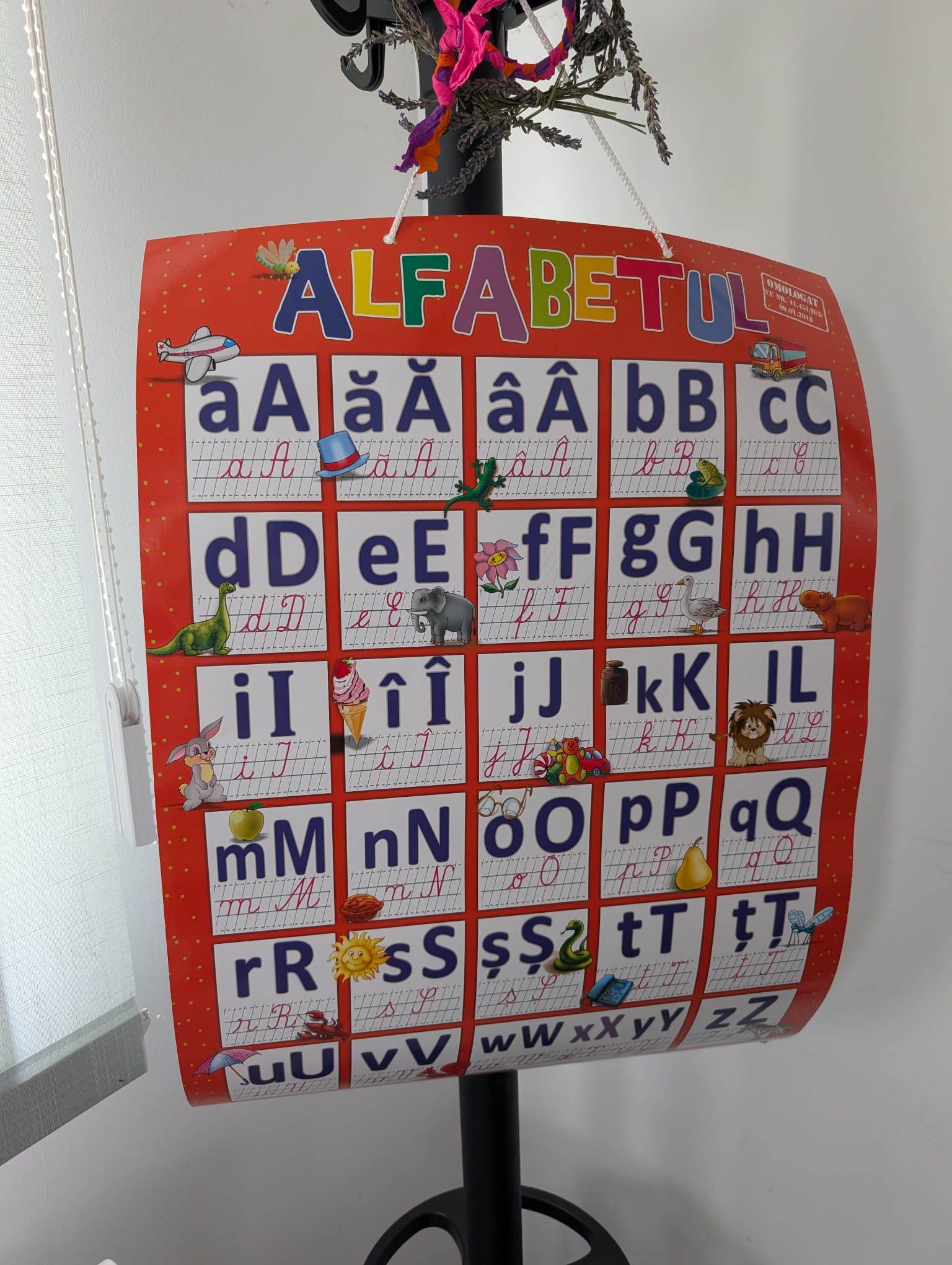 centru educational Kuncz (34)