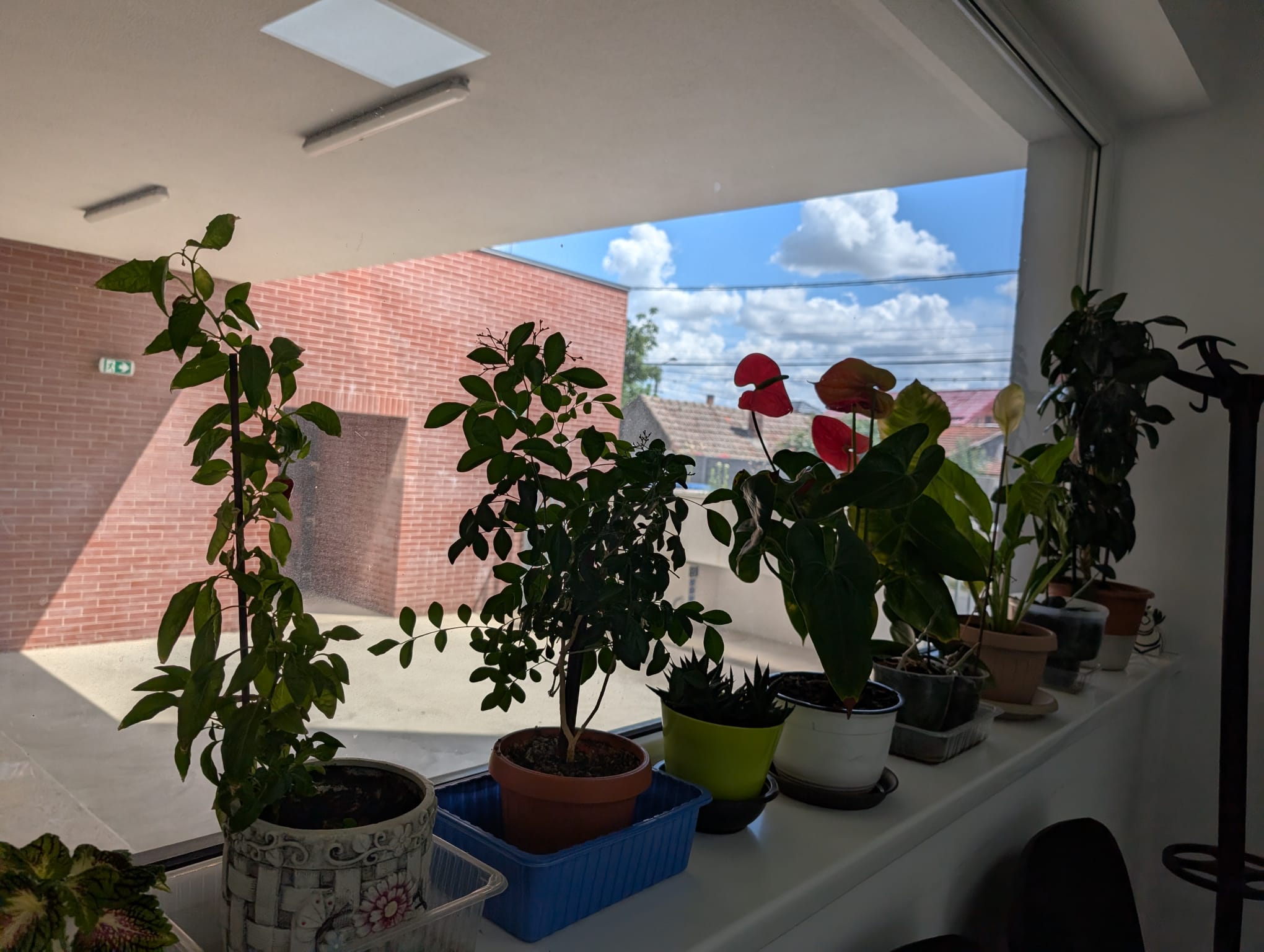 centru educational Kuncz (35)