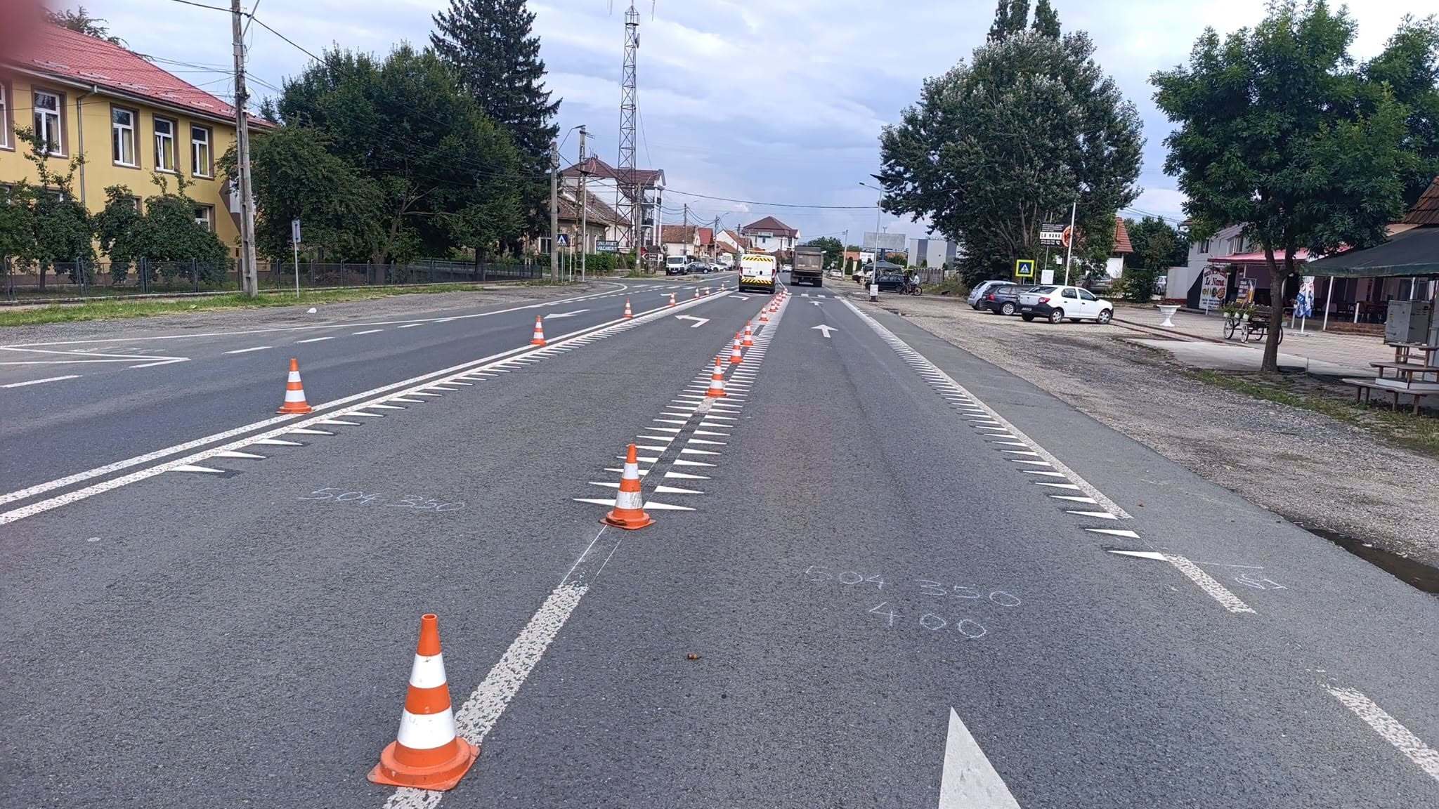 treceri pietoni drumuri nationale vest (6)