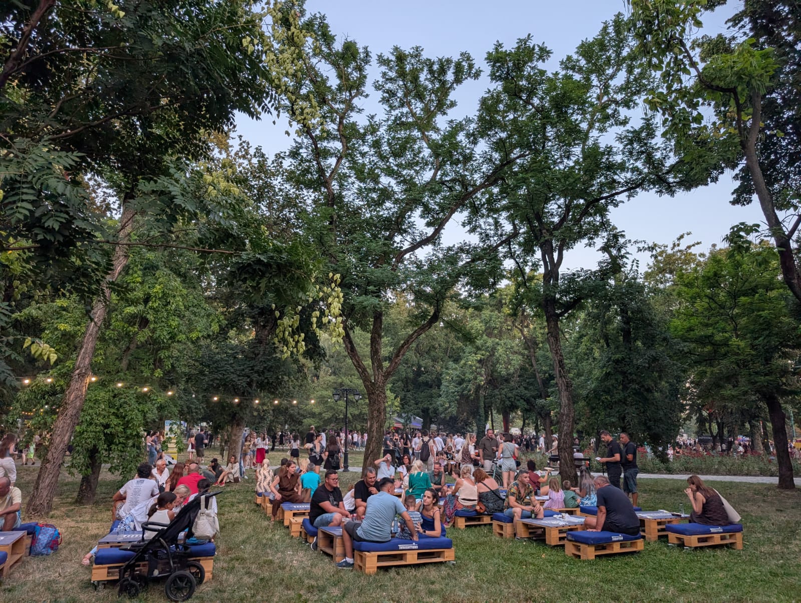 ziua timisoarei prima zi (7)