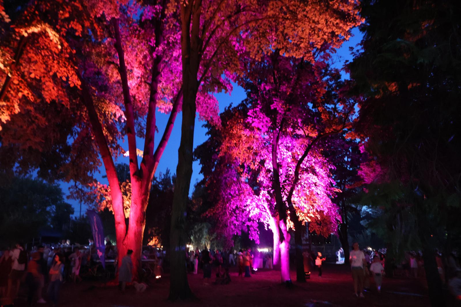 ziua timisoarei vineri (9)