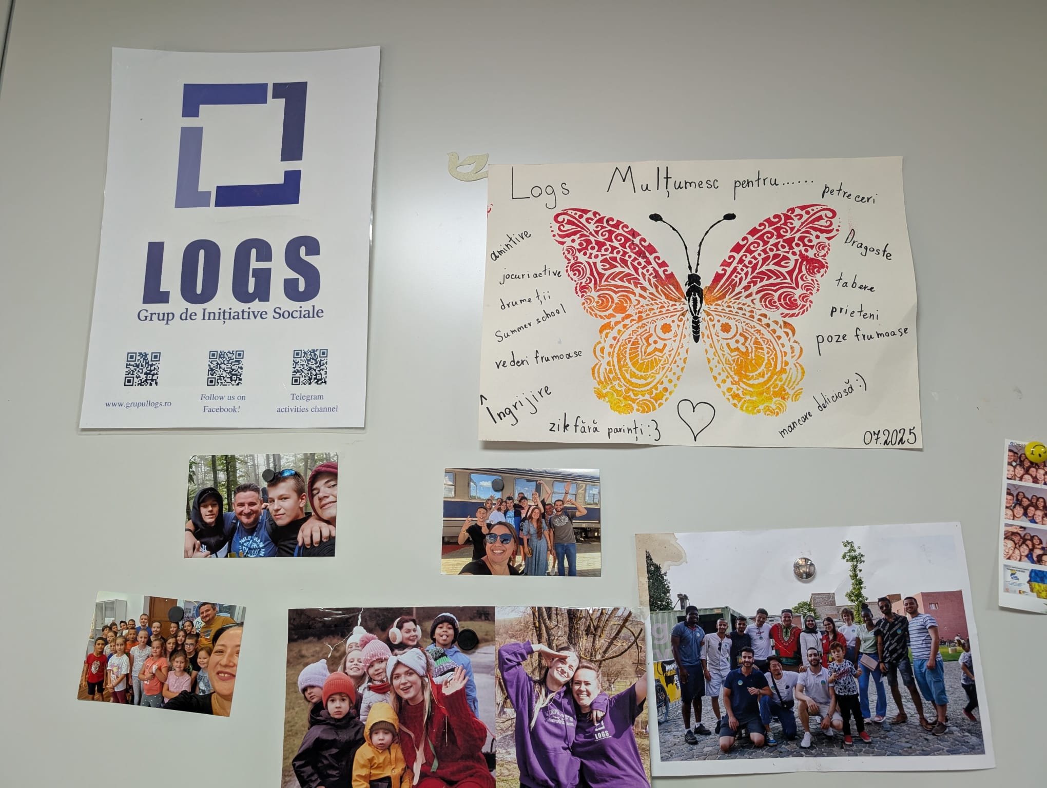 Casa LOGS (11)