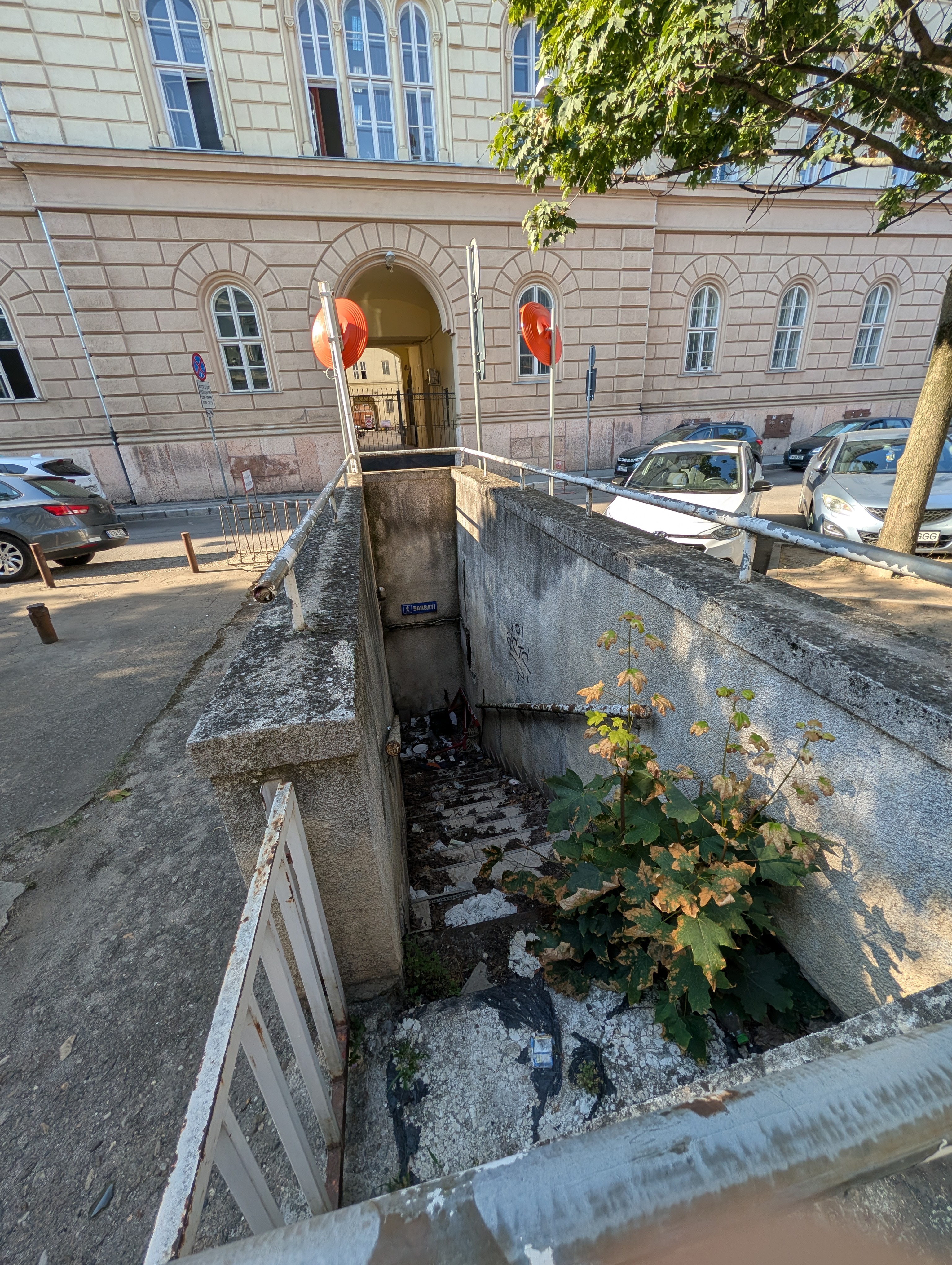 PXL_20260817_063256756