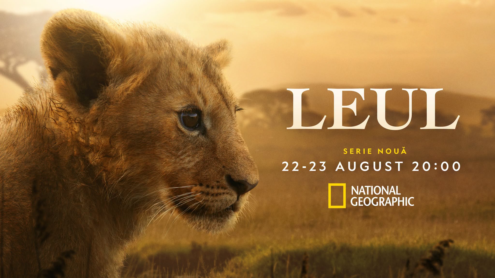 Serialul săptămânii: „Leul”, povestea reală care l-a dus pe regizorul „The Lion King” în savană