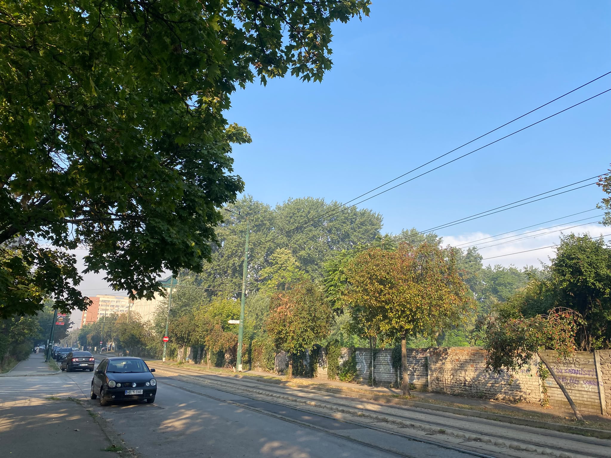 fum timisoara