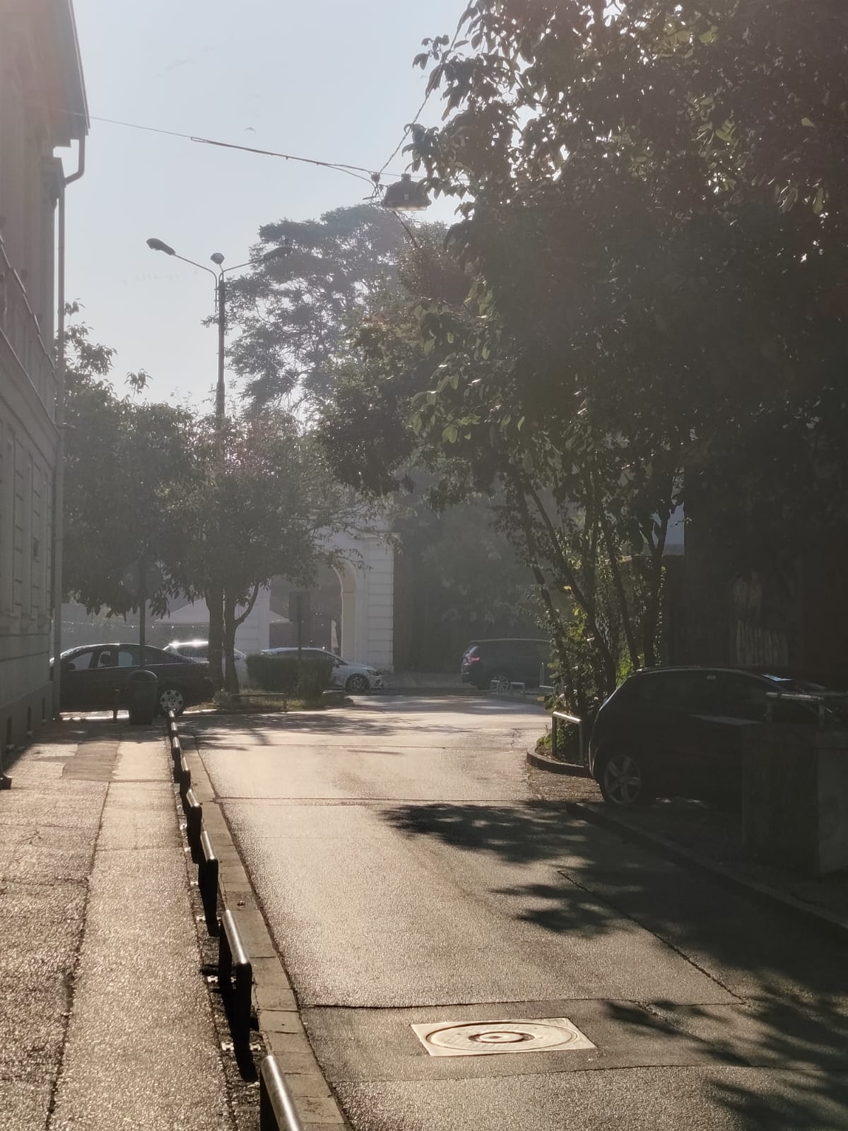 fum timisoara