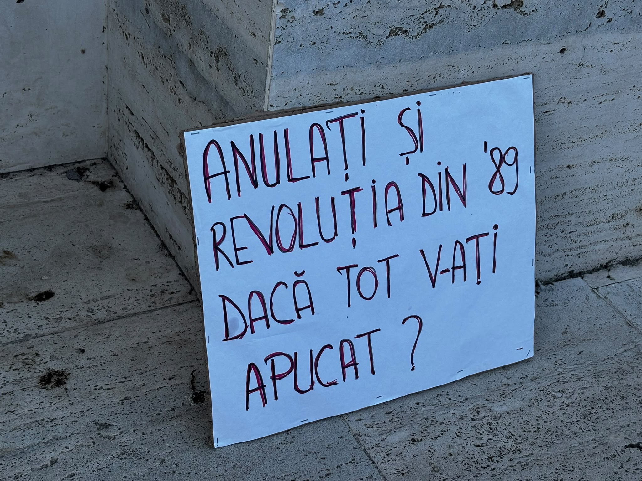 miting protest pro fritz piata victoriei (9)