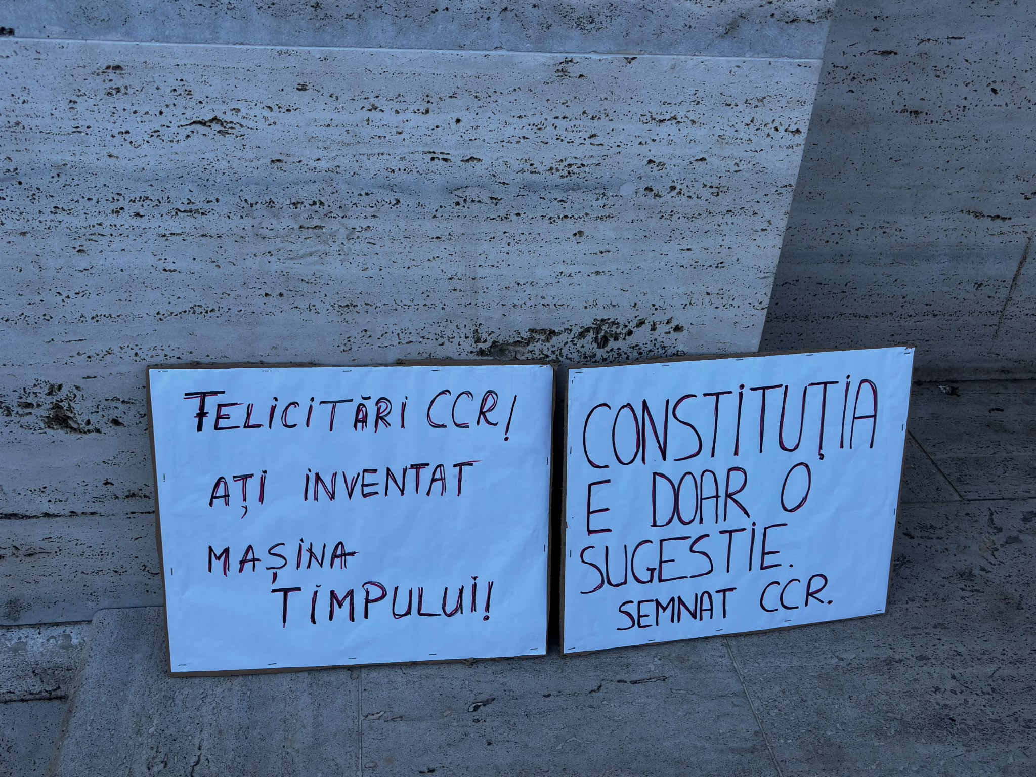 miting protest pro fritz piata victoriei (17)