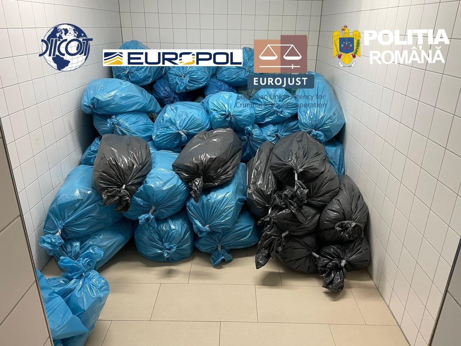 retea trafic de droguri (6)