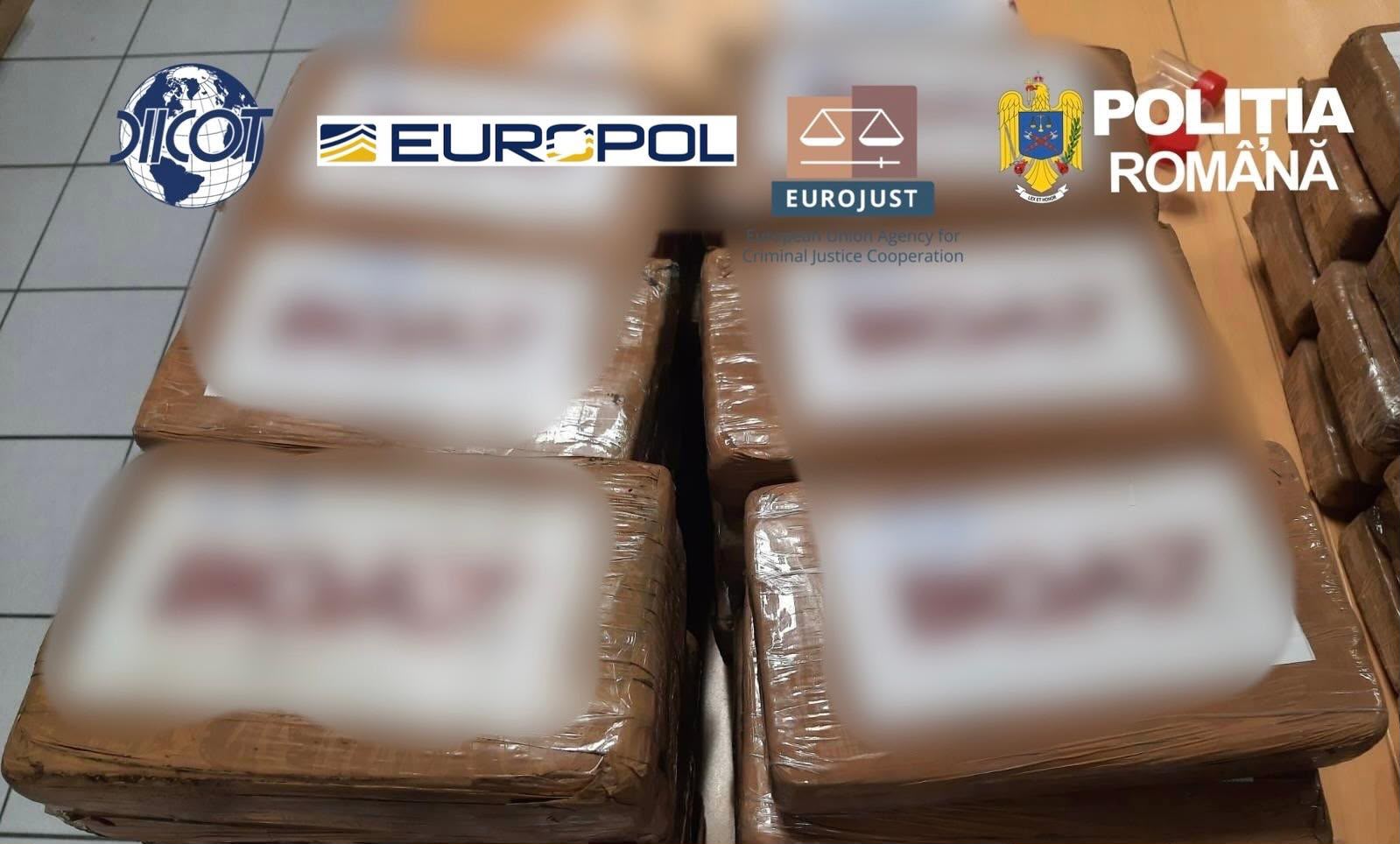 retea trafic de droguri (7)