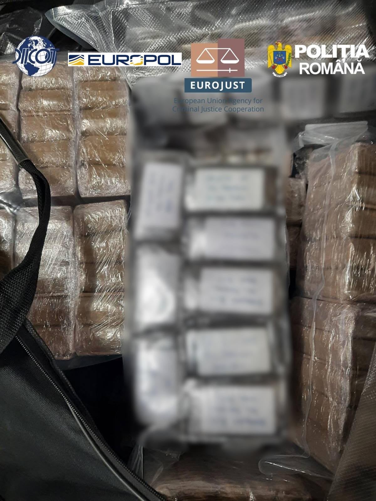 retea trafic de droguri (10)
