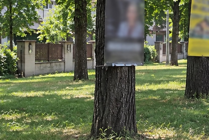 spatii verzi (2)