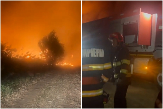 VIDEO. Incendiu de vegetație în apropiere de Satchinez. Fumul a ajuns până la Timișoara
