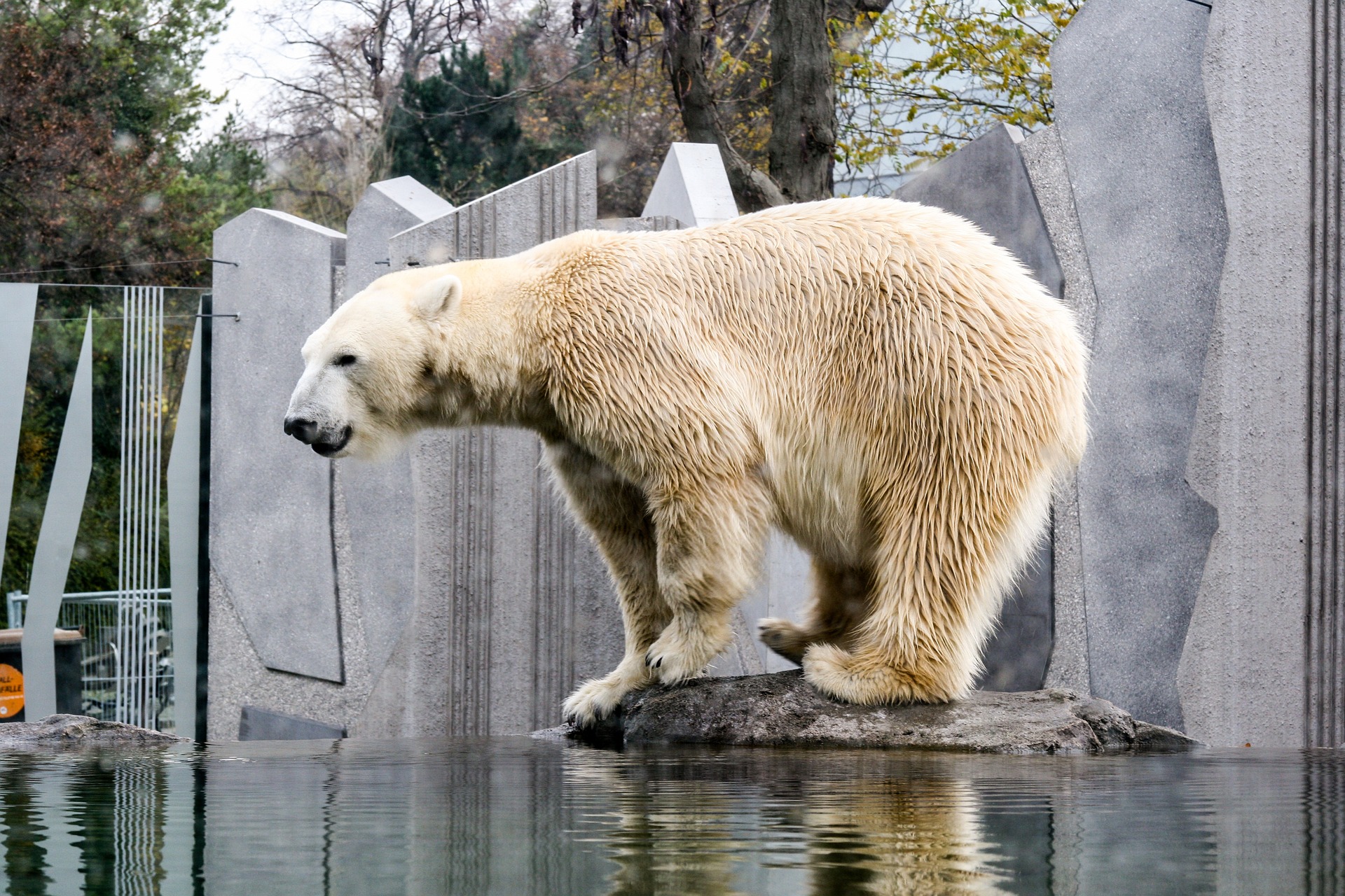 Gradina Zoologica Schonbrunn