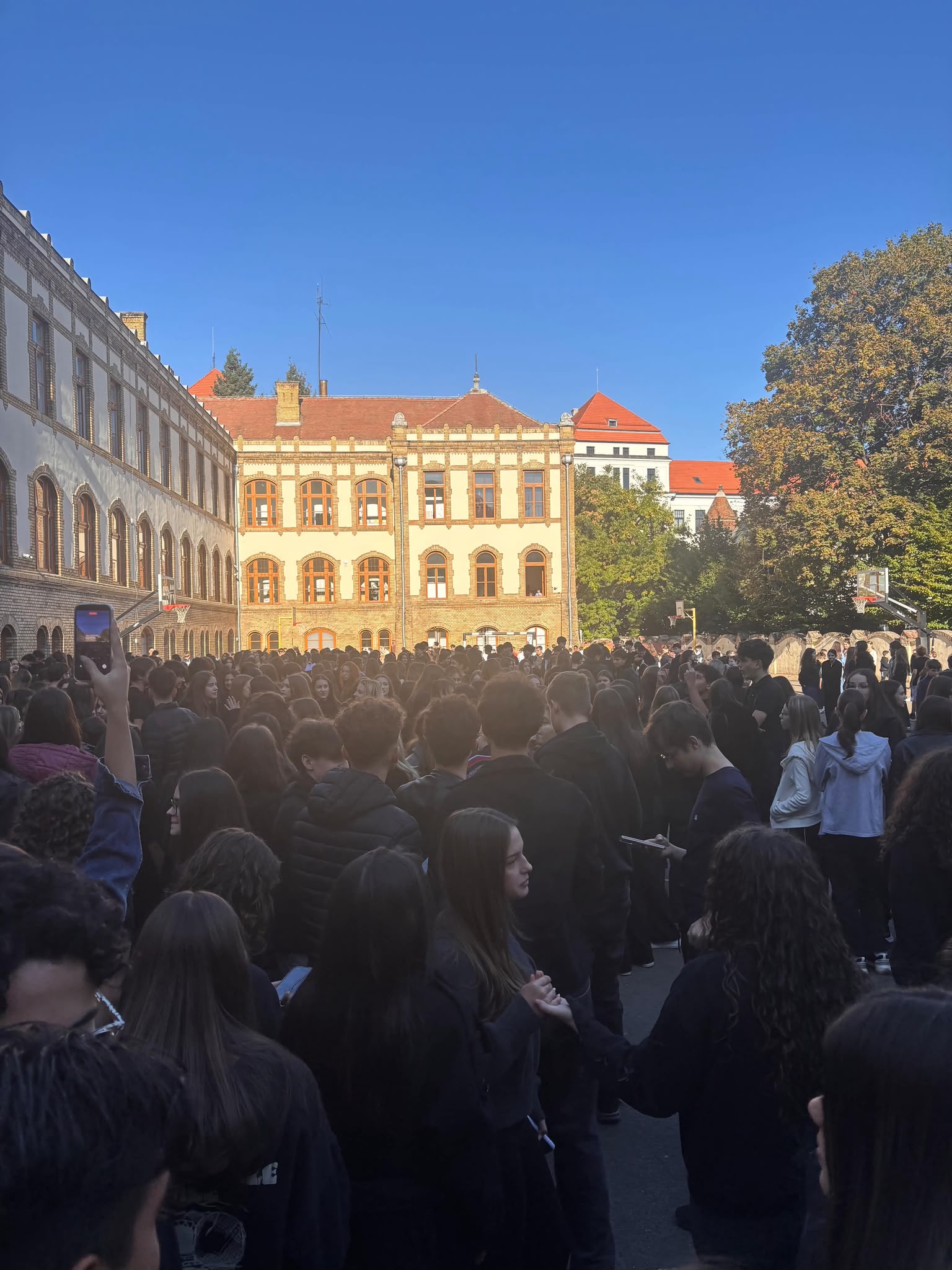 protest elevi timiș uniforme școlare