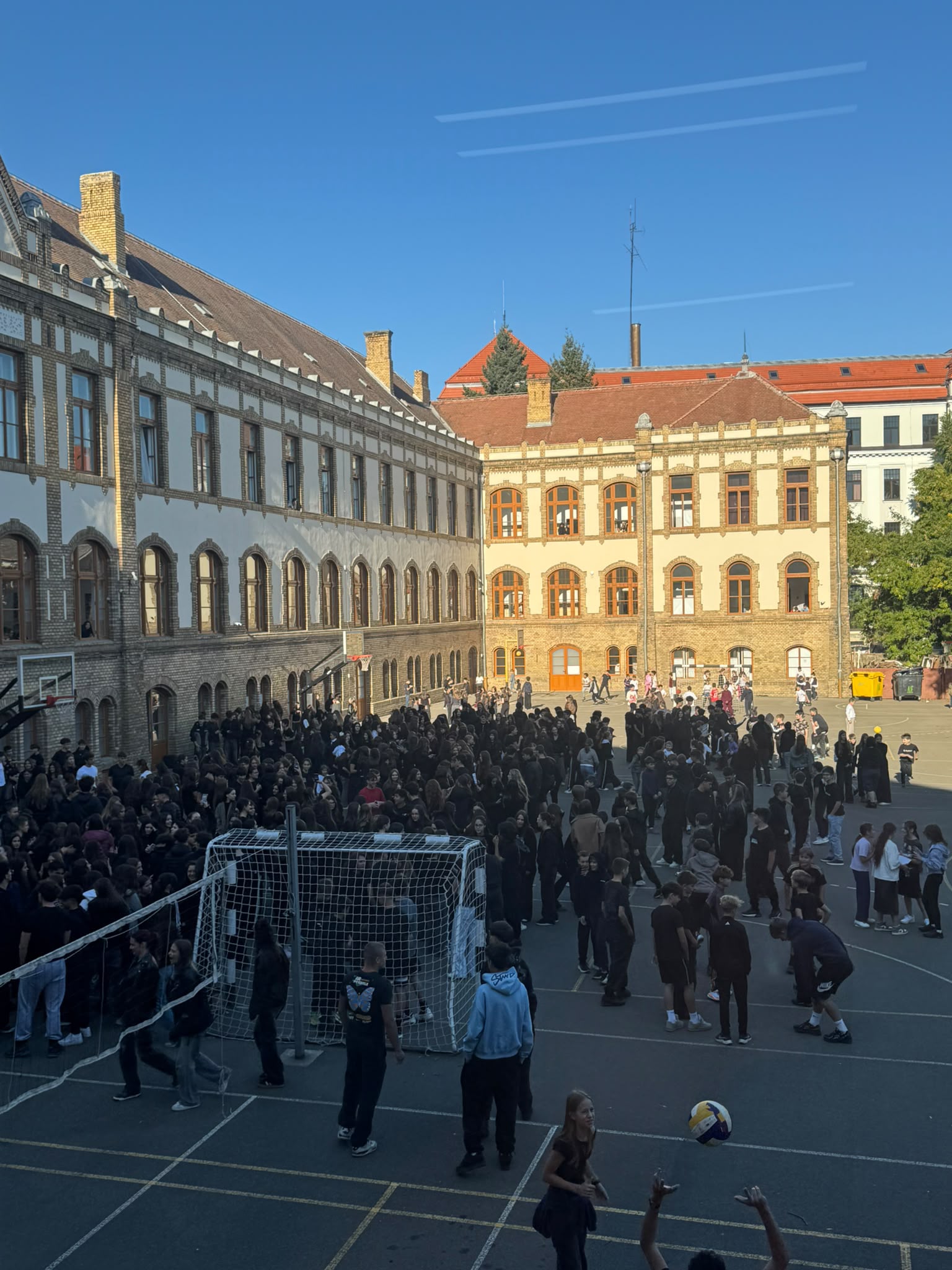 protest elevi timiș uniforme școlare