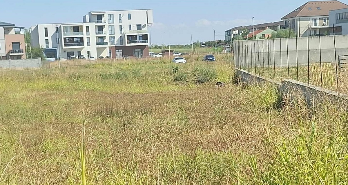 teren06