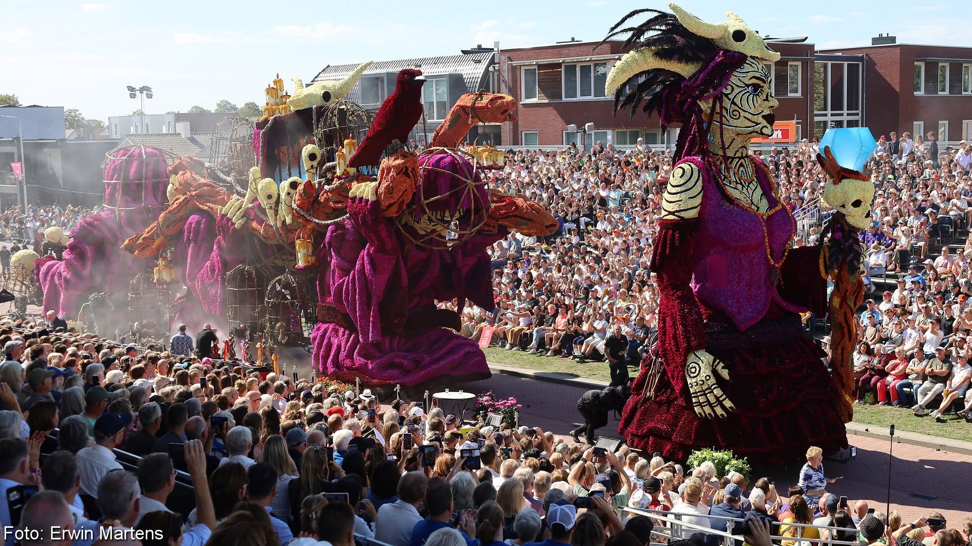 parada flori Zundert Olanda (9)