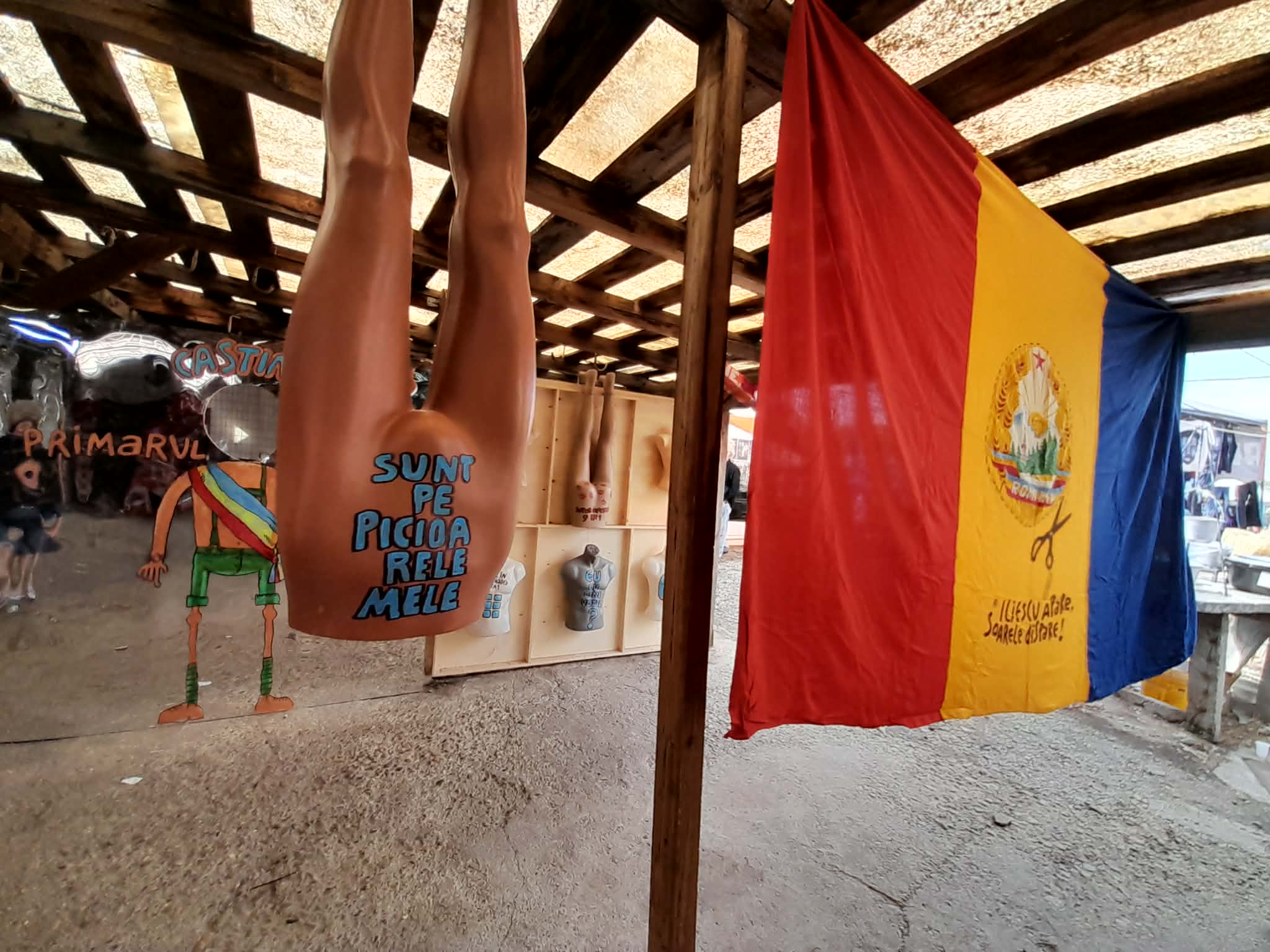 rod festival piata mehala 2026 (7)