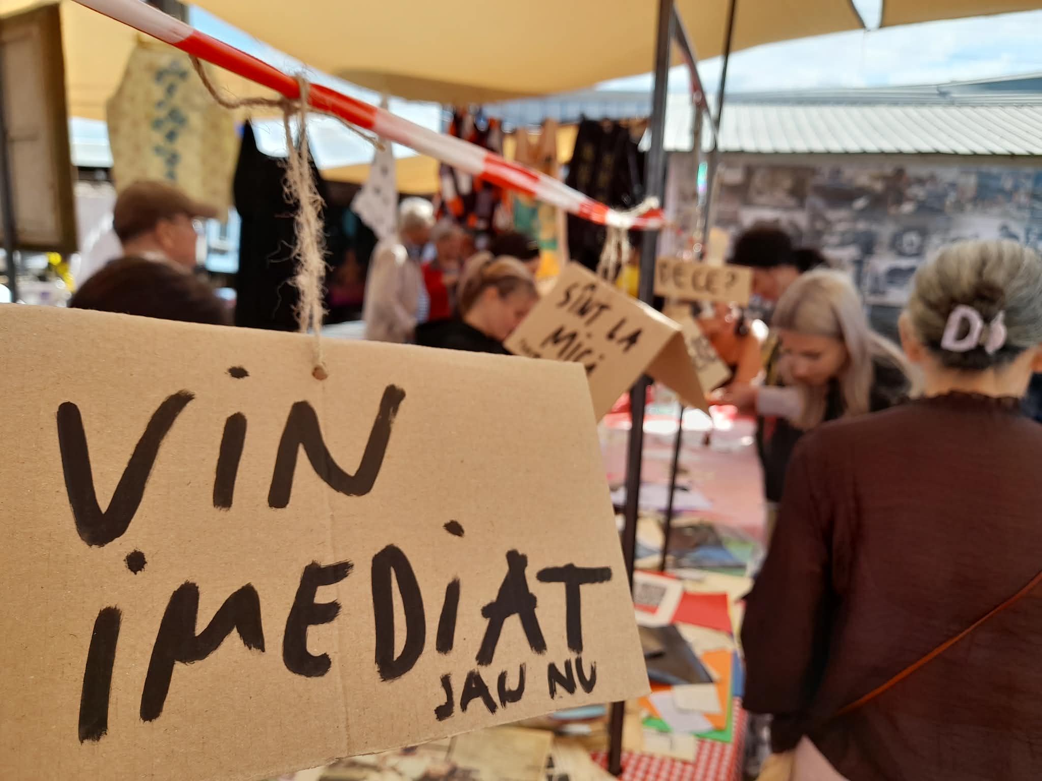 FOTO. Printre vechituri, s-a făcut artă. Ocska din Mehala a devenit scenă pentru teatru, muzică și povești