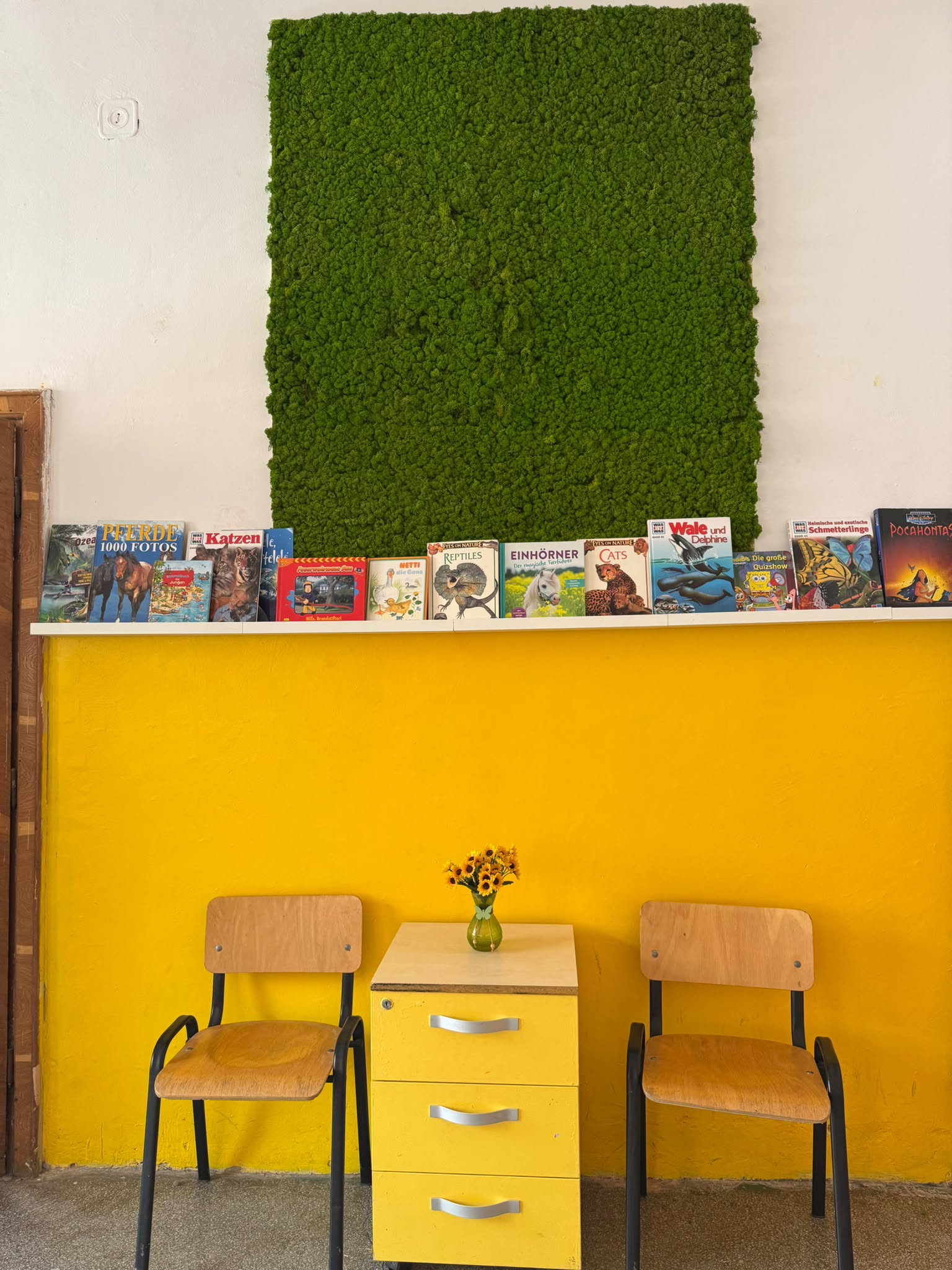 biblioteca Lenau (5)