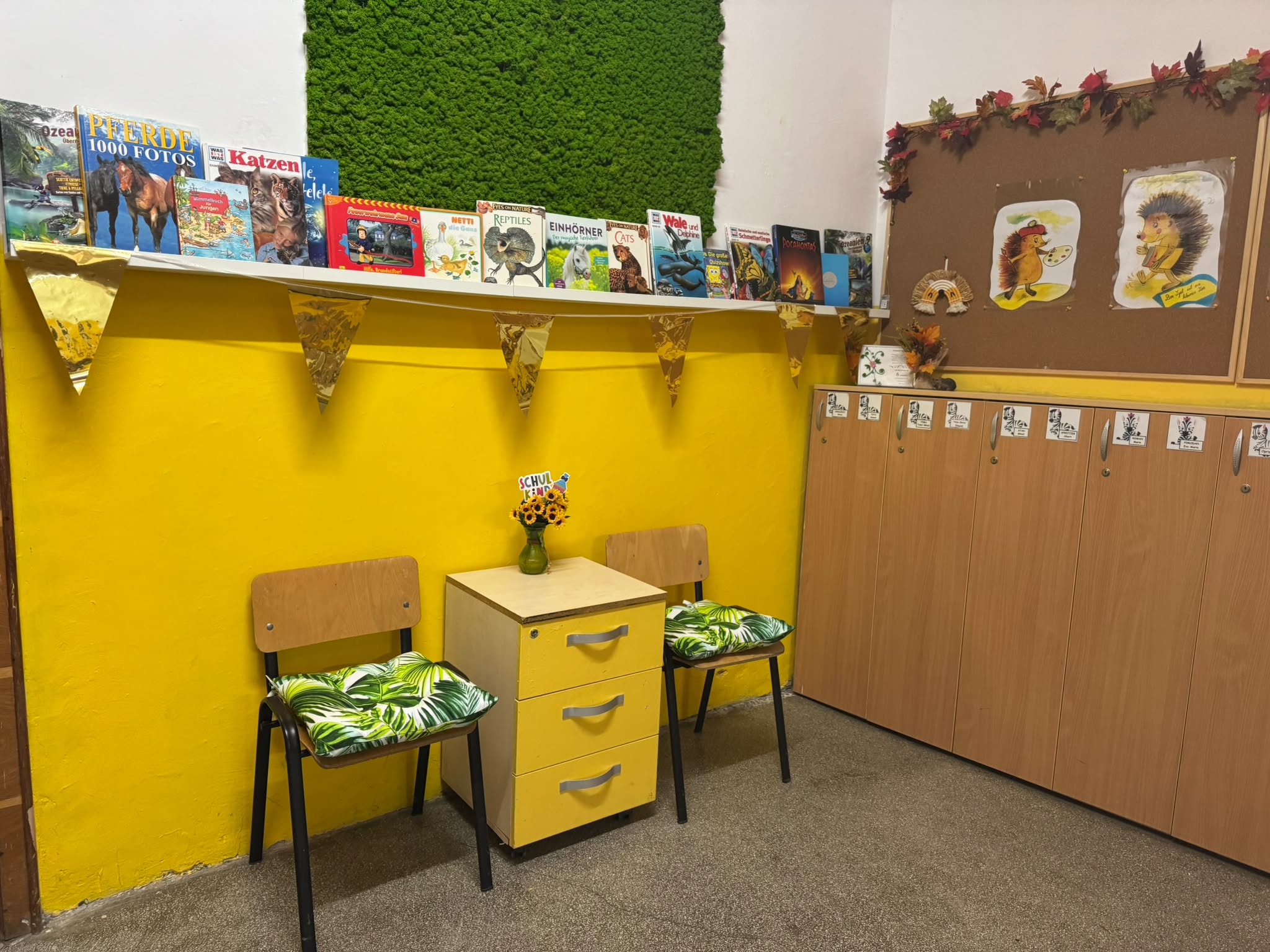 biblioteca Lenau (6)