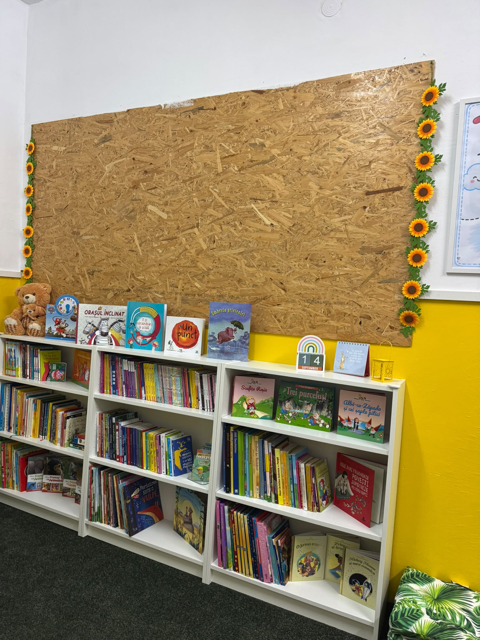 biblioteca Lenau (8)