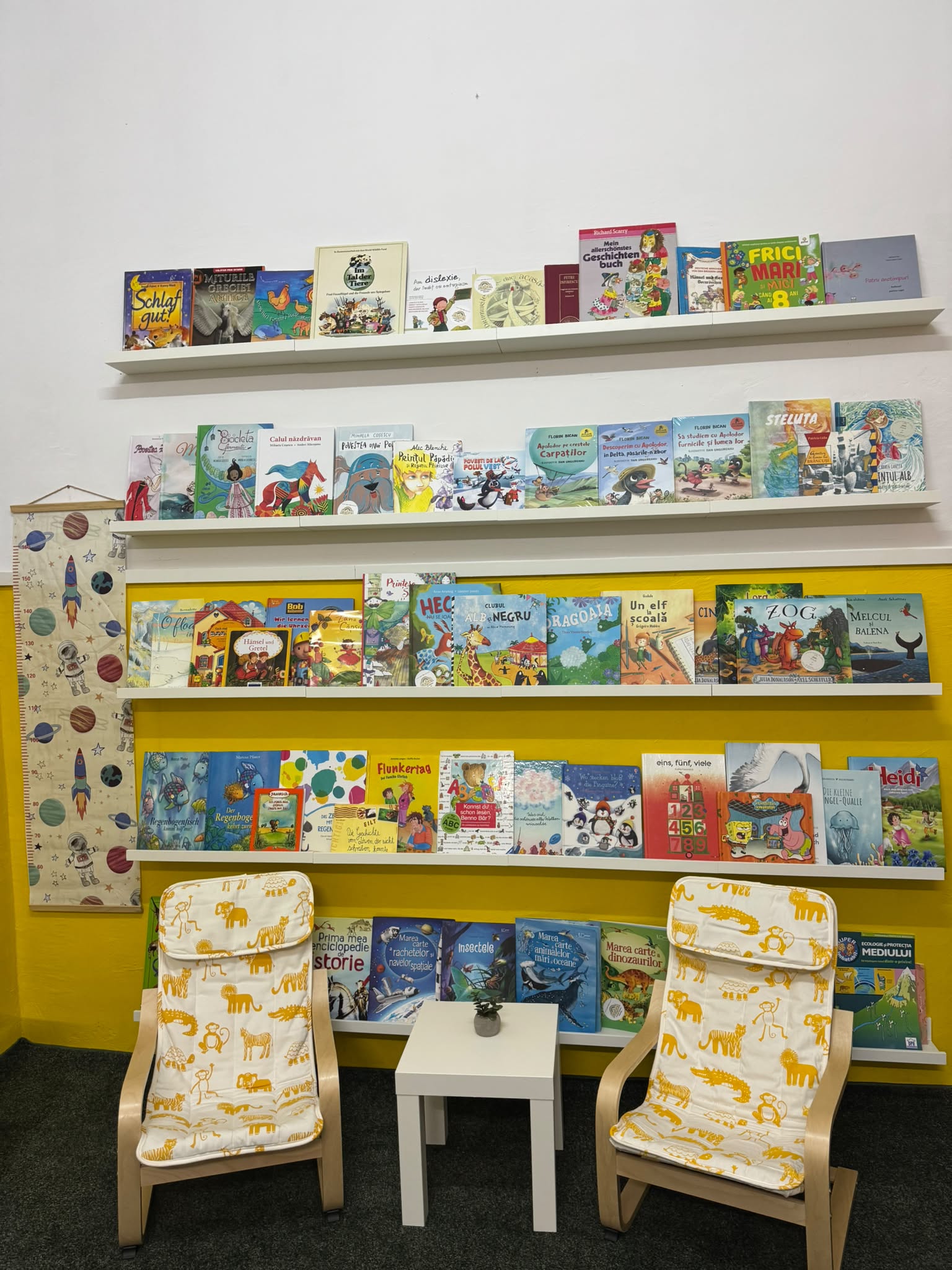 biblioteca Lenau (11)