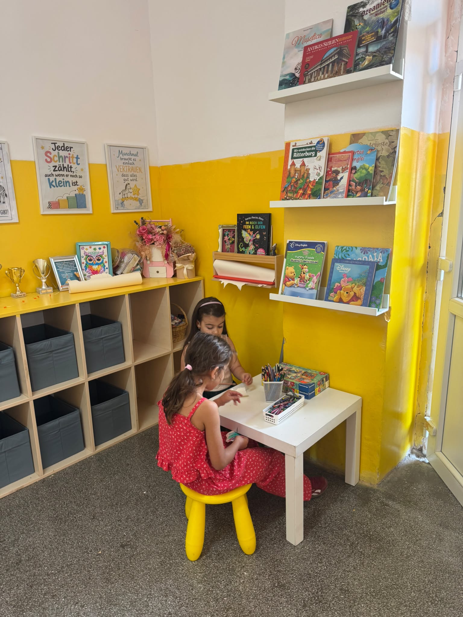 biblioteca Lenau (21)