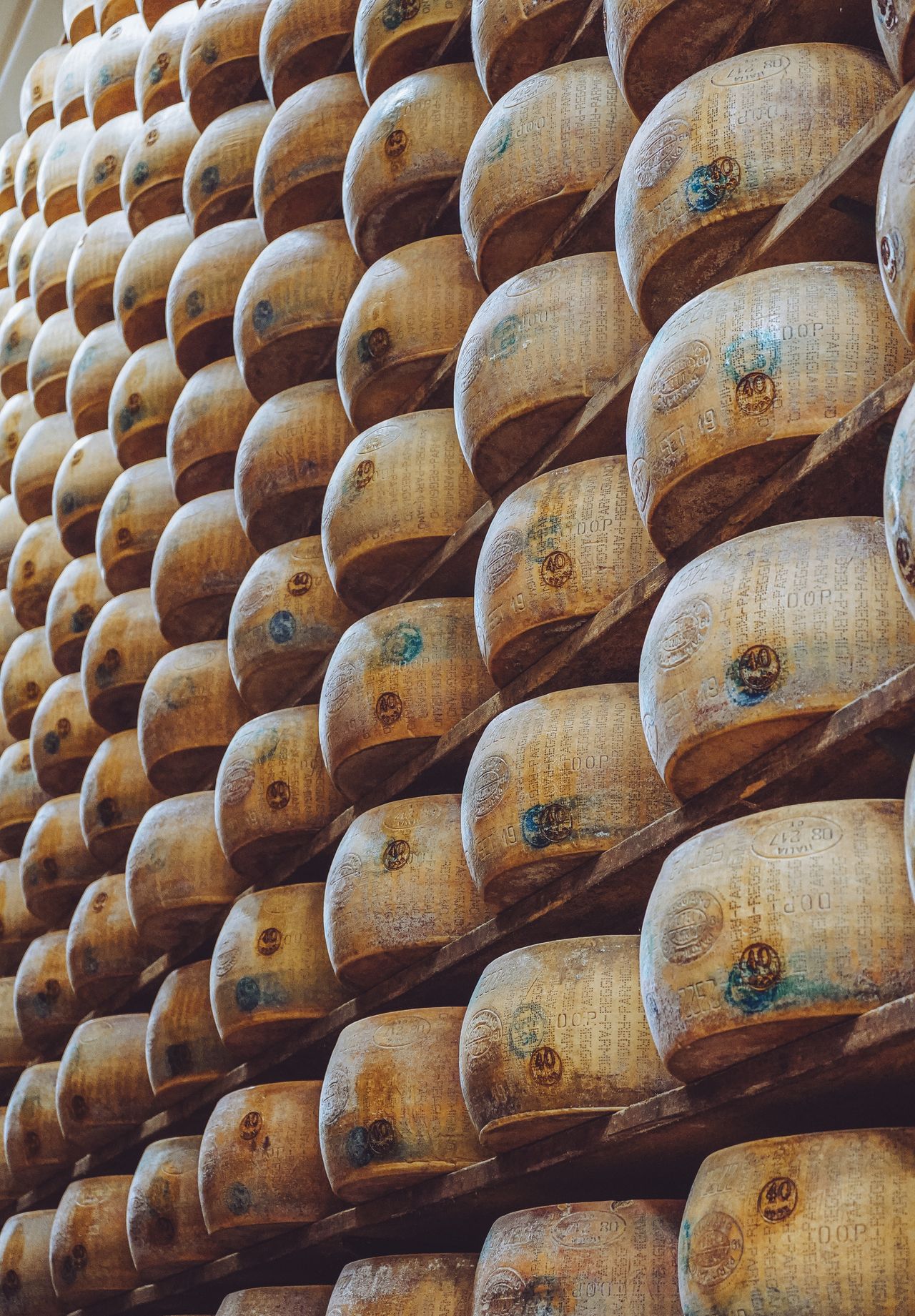 Parma (1)
