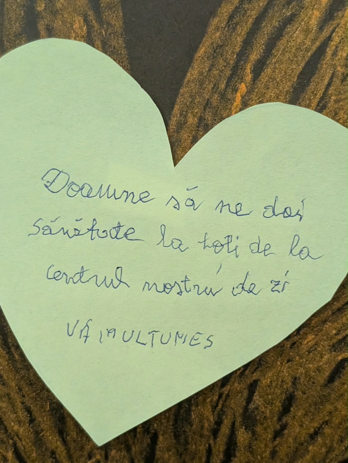 ziua pensionarilor timisoara 2026 (17)