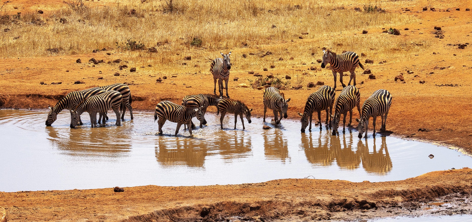 kenya