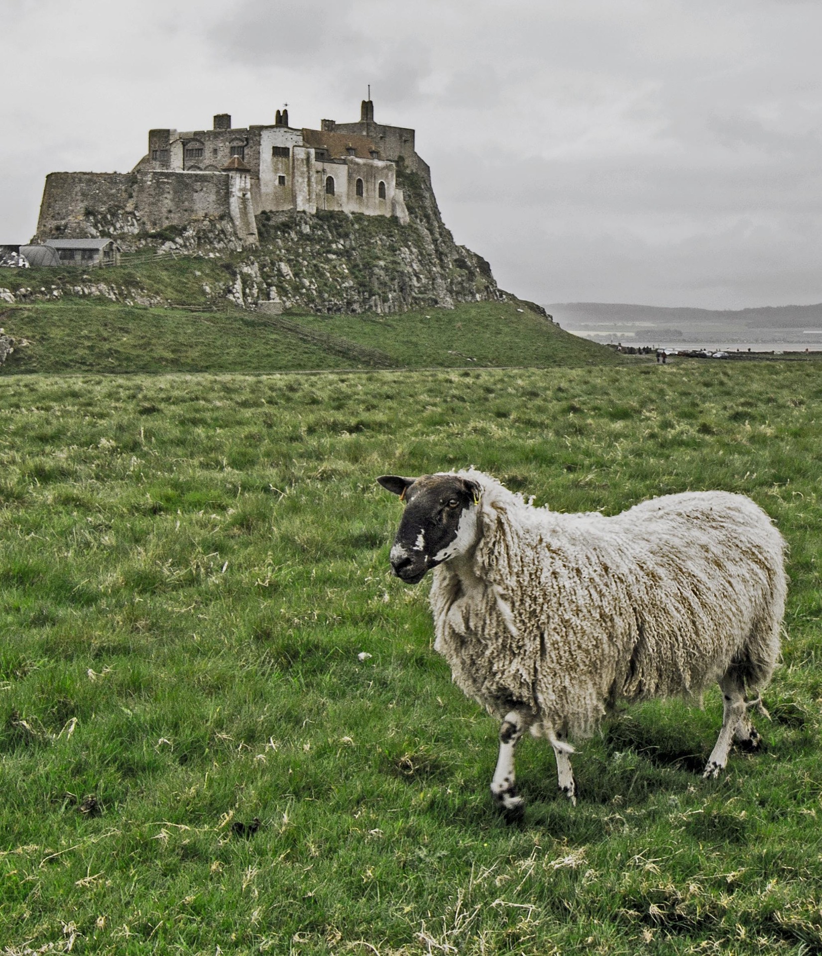 Lindisfarne