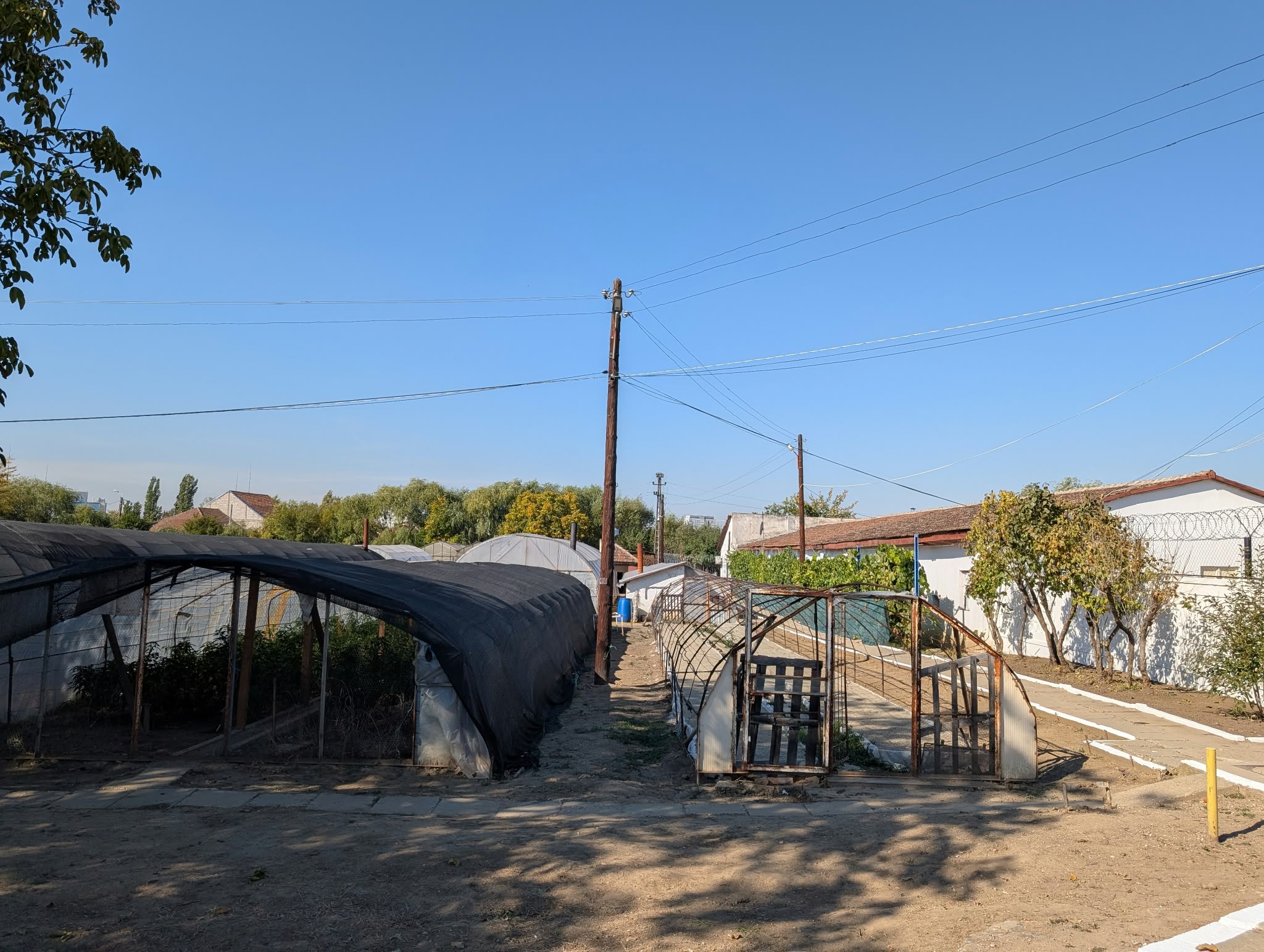 gradina penitenciar kuncz (12)