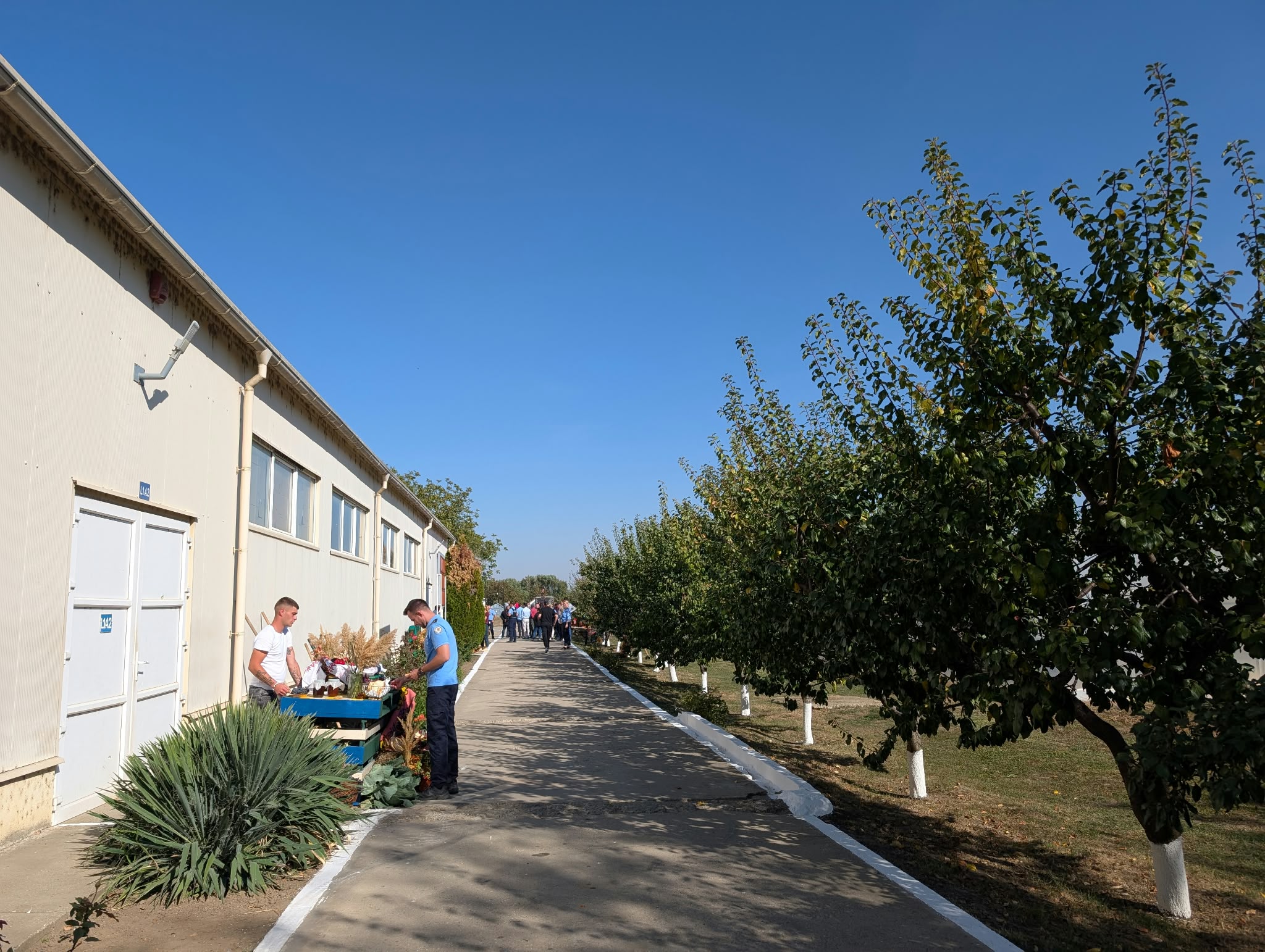 gradina penitenciar kuncz (16)