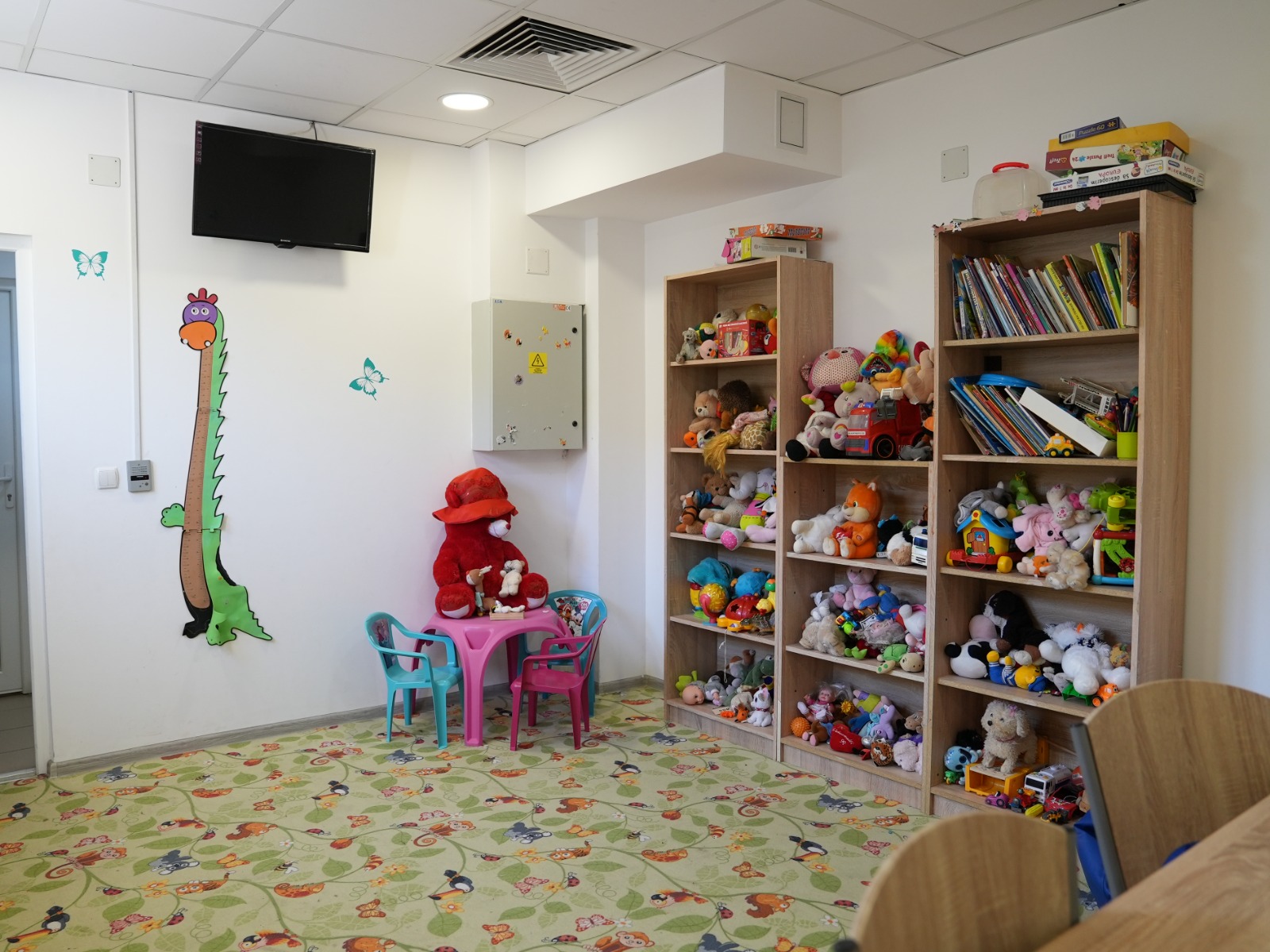 sala tata si copilul penitenciar (7)