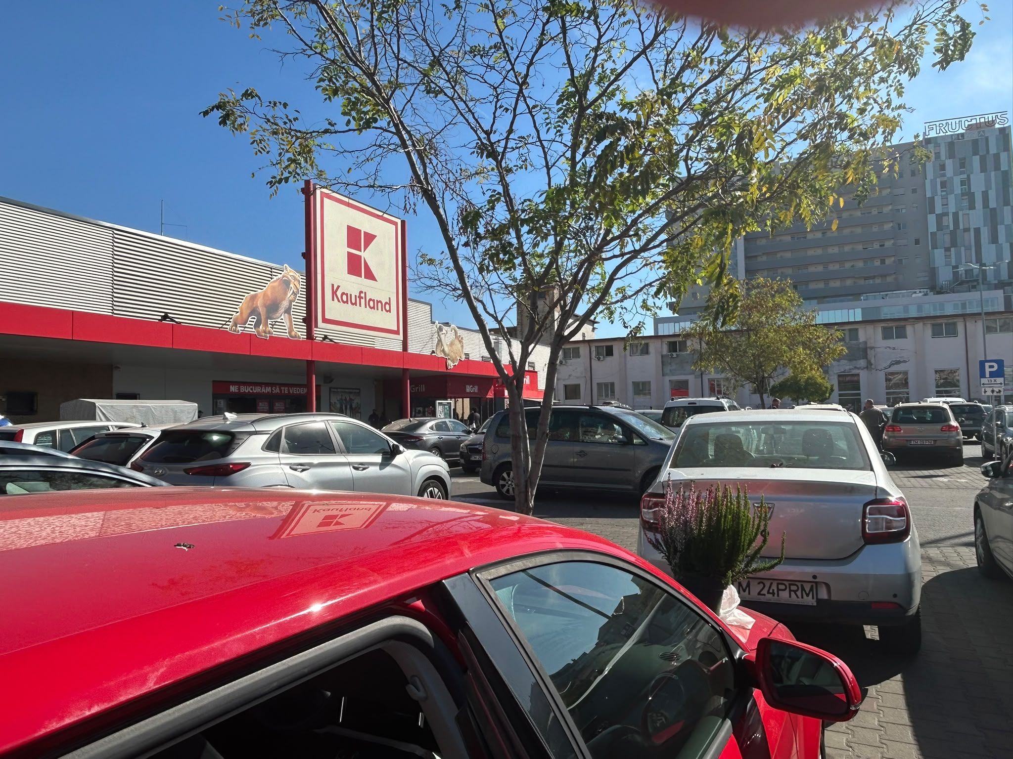gandaci kaufland gheorghe lazar (6)
