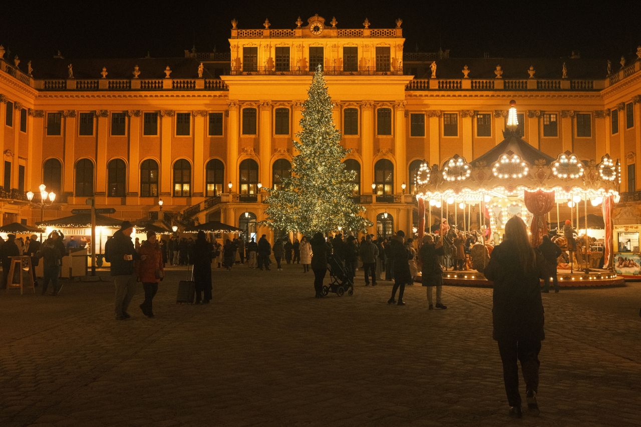 Viena 4